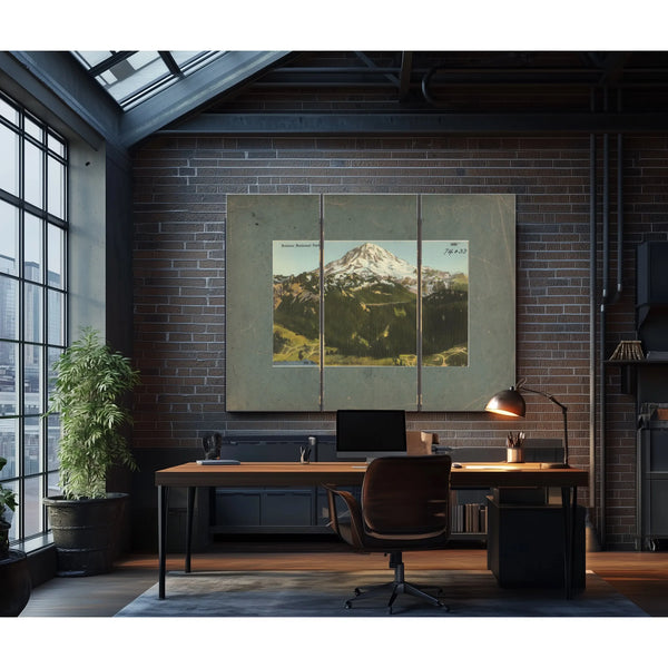 Rainier National Park Mt Rainier And Paradise Valley'2 — vintage wall art by Bella Frye