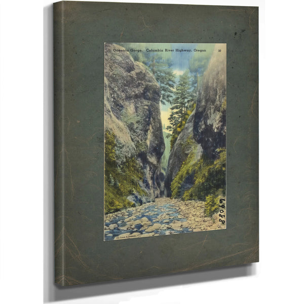 Oneonta Gorge Columbia River Highway Oregon, canvas wrap — vintage framed wall art by Bella Frye