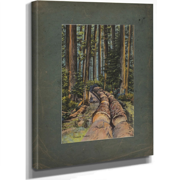 Oregon Timber, canvas wrap — vintage framed wall art by Bella Frye