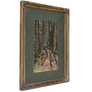 Oregon Timber, Verdigris frame — vintage framed wall art by Bella Frye