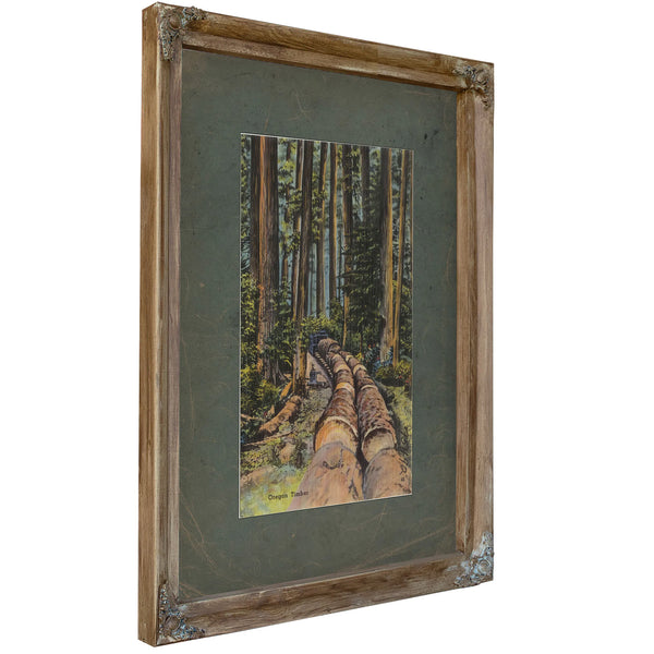 Oregon Timber, Verdigris frame — vintage framed wall art by Bella Frye