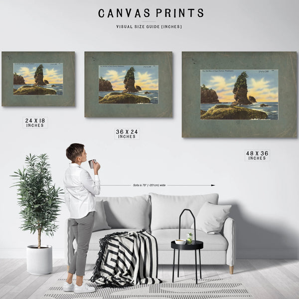 The Old Man Of Cape Flattery Washington — vintage wall art by Bella Frye
