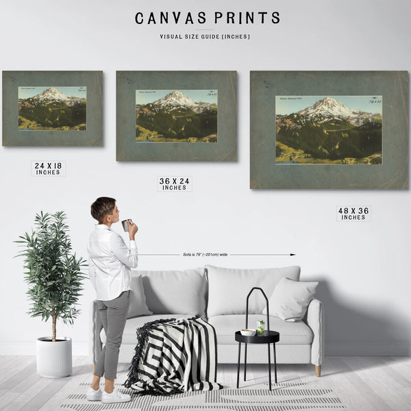 Rainier National Park Mt Rainier And Paradise Valley'2 — vintage wall art by Bella Frye