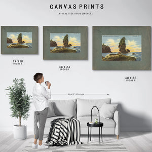 The Old Man Of Cape Flattery Washington'1 — vintage wall art by Bella Frye