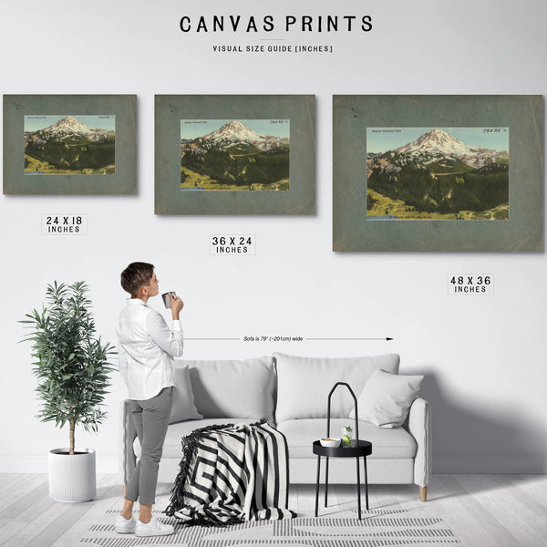 Rainier National Park Mt Rainier And Paradise Valley Washington'5 — vintage wall art by Bella Frye