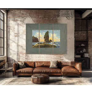 The Old Man Of Cape Flattery Washington'1 — vintage wall art by Bella Frye