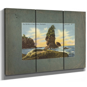 The Old Man Of Cape Flattery Washington'1 — vintage wall art by Bella Frye