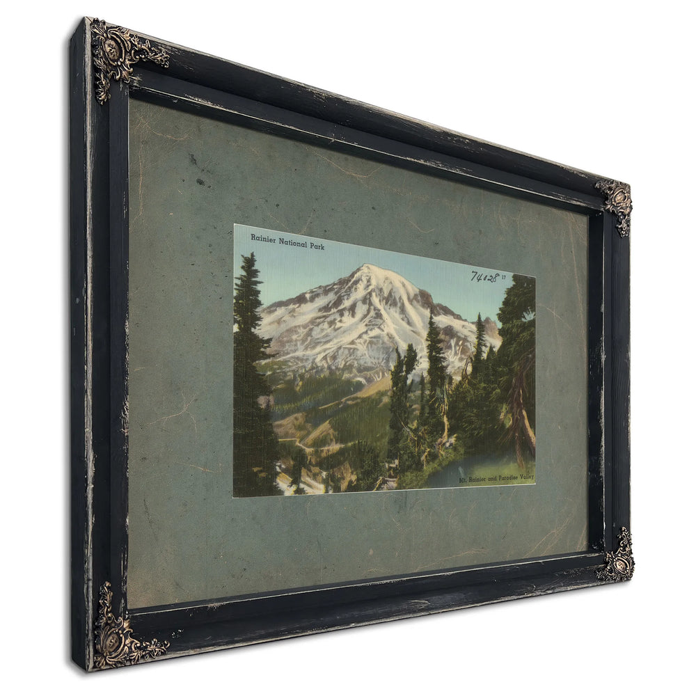 Rainier National Park Mt Rainier And Paradise Valley Washington'3, Ebony frame — vintage framed wall art by Bella Frye