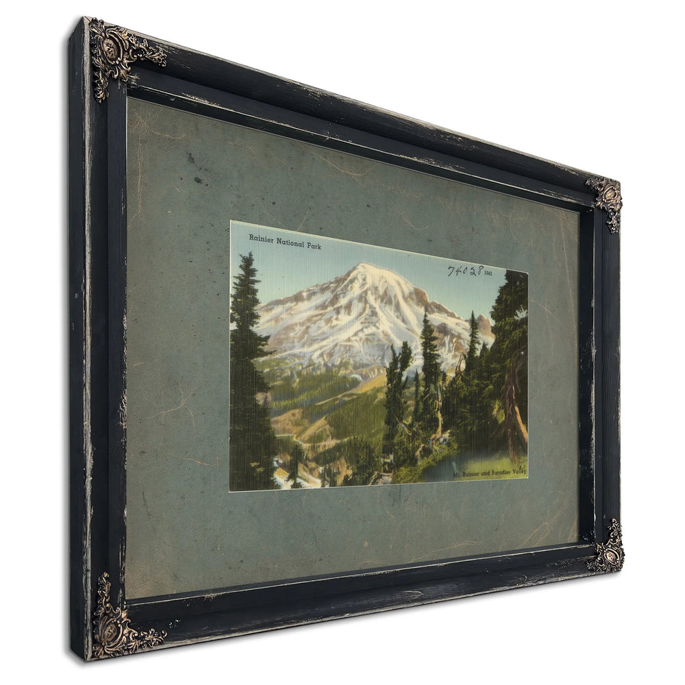 Rainier National Park Mt Rainier And Paradise Valley Washington, Ebony frame — vintage framed wall art by Bella Frye