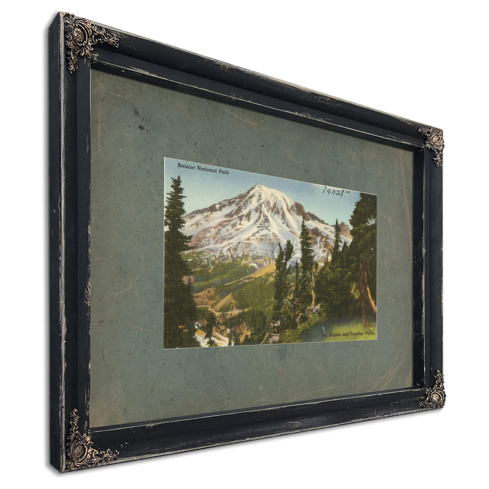 Rainier National Park Mt Rainier And Paradise Valley, Ebony frame — vintage framed wall art by Bella Frye