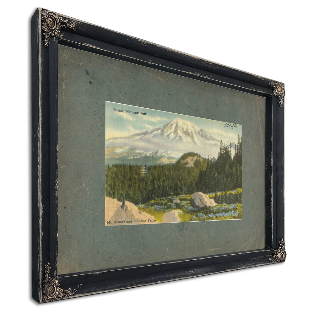 Rainier National Park Mt Rainier And Paradise Valley Washington'2, Ebony frame — vintage framed wall art by Bella Frye
