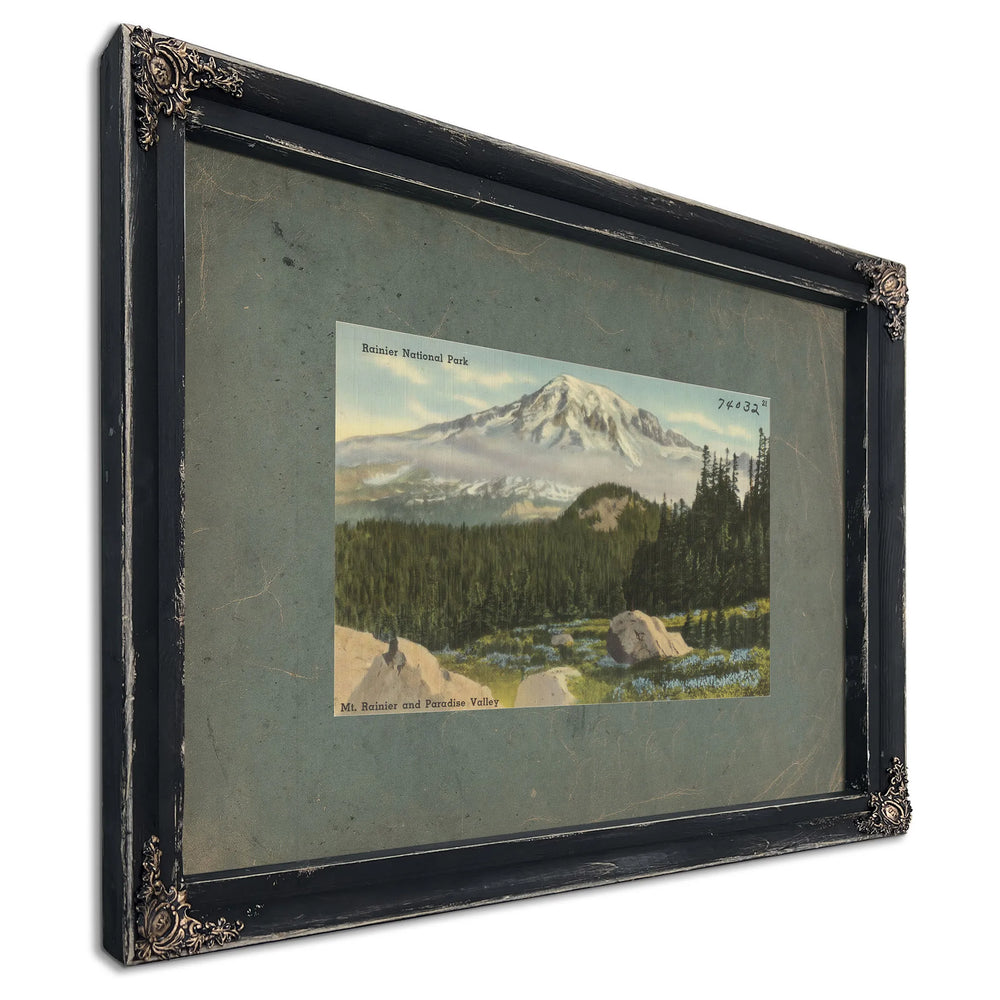 Rainier National Park Mt Rainier And Paradise Valley Washington'4, Ebony frame — vintage framed wall art by Bella Frye
