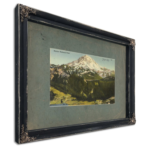 Rainier National Park Mt Rainier And Paradise Valley Washington'1, Ebony frame — vintage framed wall art by Bella Frye