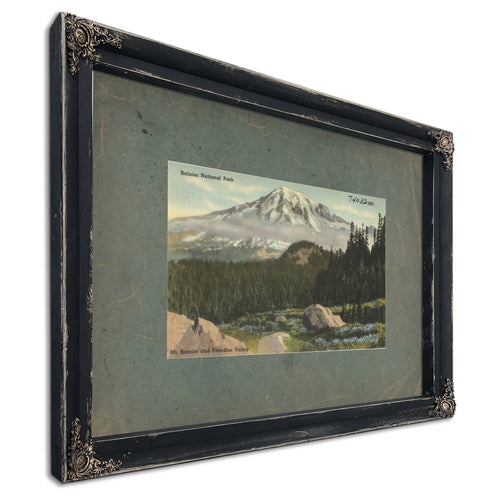 Rainier National Park Mt Rainier And Paradise Valley'1, Ebony frame — vintage framed wall art by Bella Frye