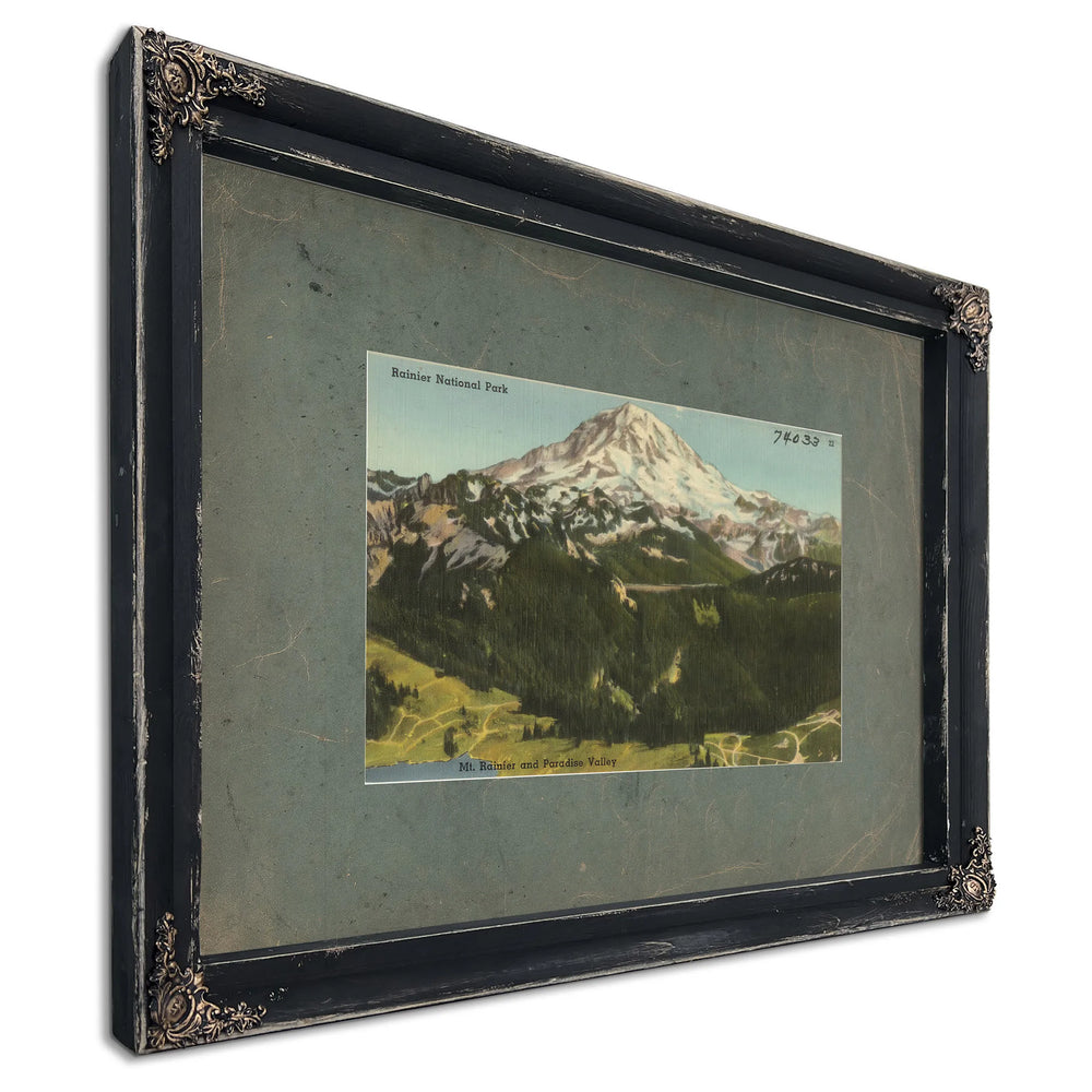 Rainier National Park Mt Rainier And Paradise Valley Washington'5, Ebony frame — vintage framed wall art by Bella Frye