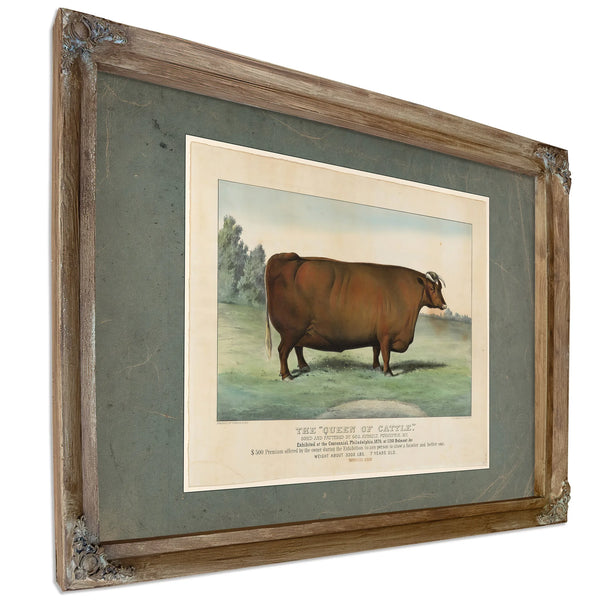 The Queen of Cattle Bred and Fattened by Geo Ayrault Poughkeepsie NY. Exh — Verdigris Framed Canvas Print | Bella Frye