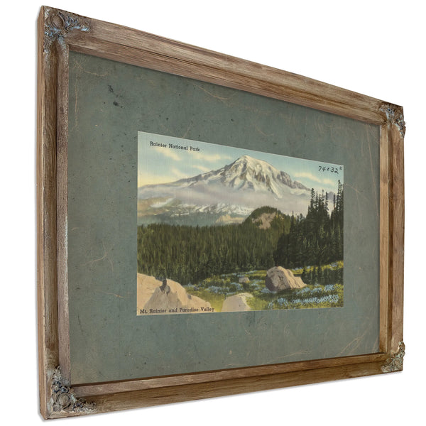 Rainier National Park Mt Rainier And Paradise Valley Washington'4, Verdigris frame — vintage framed wall art by Bella Frye