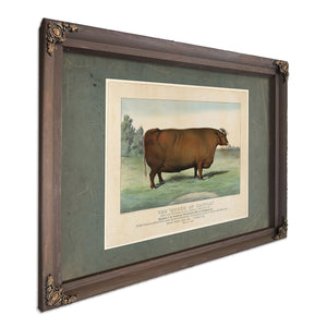 The Queen of Cattle Bred and Fattened by Geo Ayrault Poughkeepsie NY. Exh — Bourbon Framed Canvas Print | Bella Frye