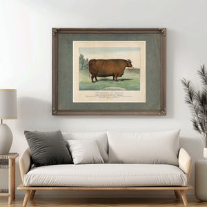 The Queen of Cattle Bred and Fattened by Geo Ayrault Poughkeepsie NY. Exh — Framed Wall Art Room View | Bella Frye