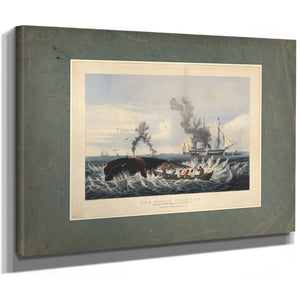 The Whale Fishery Attacking a Right Whale and Cutting In — Stretched Canvas Print | Bella Frye