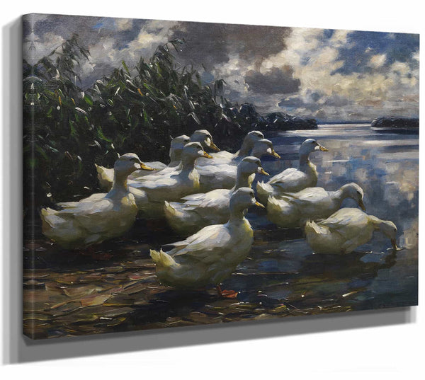 11 Enten In Der Morgensonne By Alexander Koester