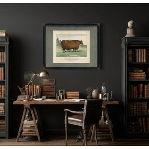 The Queen of Cattle Bred and Fattened by Geo Ayrault Poughkeepsie NY. Exh — Framed Wall Art Room View | Bella Frye