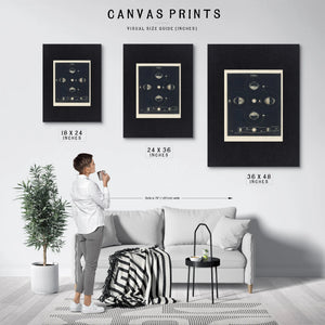 The Lunar Pull a Study of Celestial Forces and Earthly Waters — Framed Wall Art Room View | Bella Frye