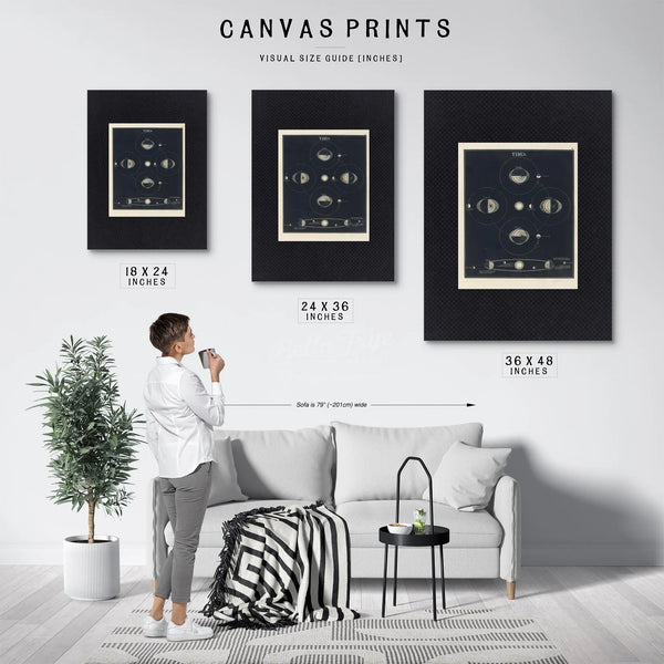 The Lunar Pull a Study of Celestial Forces and Earthly Waters — Framed Wall Art Room View | Bella Frye