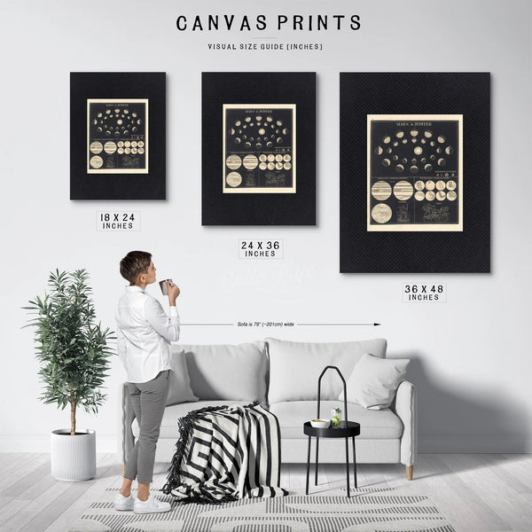 The Wandering Gods Celestial Mechanics of Mars Jupiter — Framed Wall Art Room View | Bella Frye
