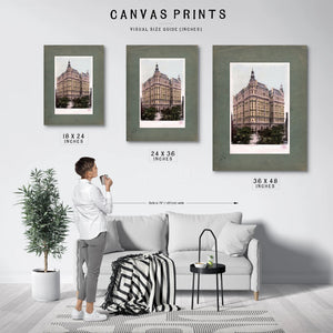 The Ansonia Gilded Age Monument to Manhattan Grandeur — Framed Wall Art Room View | Bella Frye