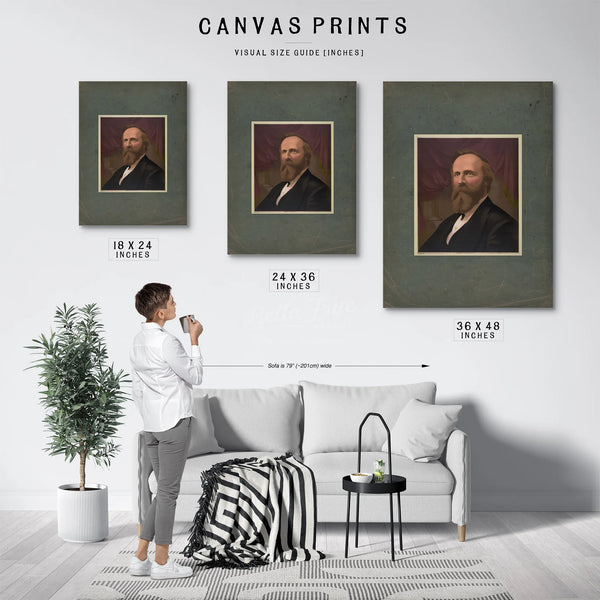 President Rutherford B Hayes 1877 — Framed Wall Art Room View | Bella Frye