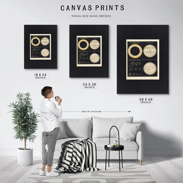The Burning Eye Victorian Studies of Solar Phenomena and Planetary Transits — Framed Wall Art Room View | Bella Frye