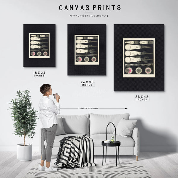 The Celestial Shadow Mechanics Victorian Eclipse Diagram — Framed Wall Art Room View | Bella Frye