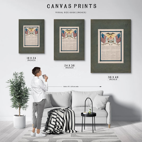 Origin and History of the Stars and Stripes 1899 — Framed Wall Art Room View | Bella Frye