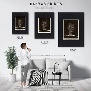 The Sun's Violent Breath 1892 Solar Prominence Study — Framed Wall Art Room View | Bella Frye