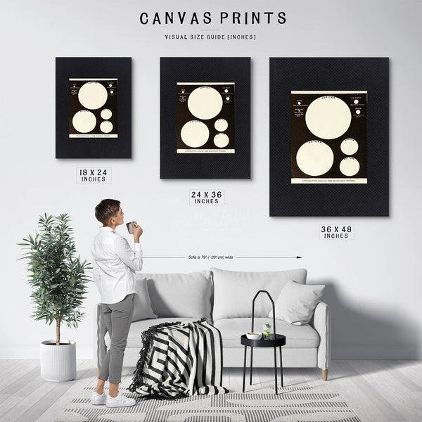 The Celestial Hierarchy a Study in Planetary Scale — Framed Wall Art Room View | Bella Frye