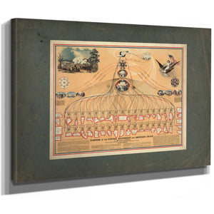 Diagram of the Federal Government and American Union by N Mendal Shafer Atto — Stretched Canvas Print | Bella Frye