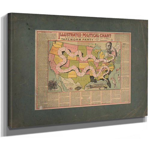 Illustrated Political Chart a Cartoon of American Politics and the Tapeworm — Stretched Canvas Print | Bella Frye