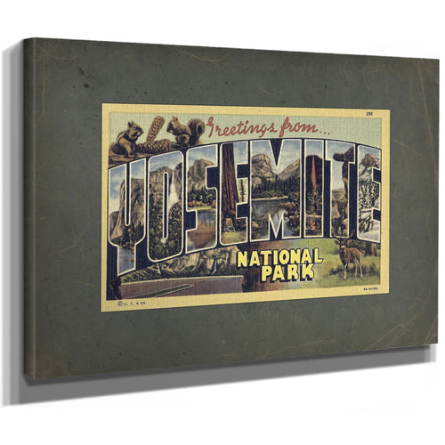 California Yosemite — Stretched Canvas Print | Bella Frye