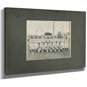 Homestead Grays — Stretched Canvas Print | Bella Frye