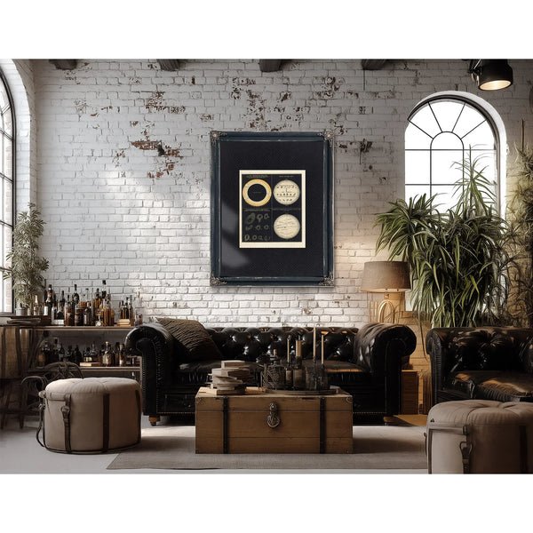 The Burning Eye Victorian Studies of Solar Phenomena and Planetary Transits — Framed Wall Art Room View | Bella Frye