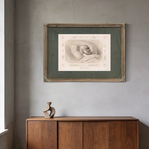 John Quincy Adams 19th Century — Framed Wall Art Room View | Bella Frye