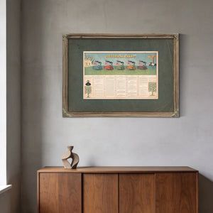 Historical Chart 1897 — Framed Wall Art Room View | Bella Frye