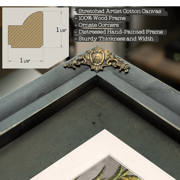 General Taylor at the Battle of Resaca De La Palma Capt May Receiving His or — Framed Wall Art Room View | Bella Frye