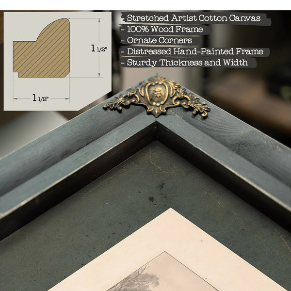 General Francis Marion of South Carolina 1876 — Framed Wall Art Room View | Bella Frye