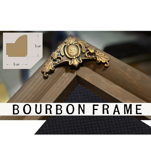 The Celestial Shadow Mechanics Victorian Eclipse Diagram — Framed Wall Art Room View | Bella Frye