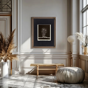 The Sun's Violent Breath 1892 Solar Prominence Study — Framed Wall Art Room View | Bella Frye