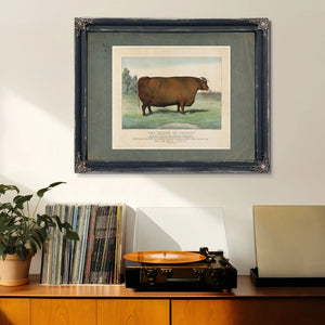 The Queen of Cattle Bred and Fattened by Geo Ayrault Poughkeepsie NY. Exh — Framed Wall Art Room View | Bella Frye