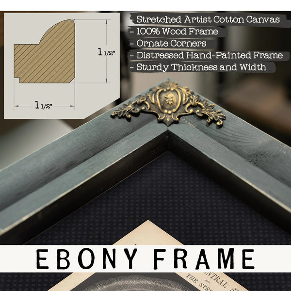 The Central Sun — Cosmological Chart, Mädler's Alcyone Theory — Framed Wall Art Room View | Bella Frye
