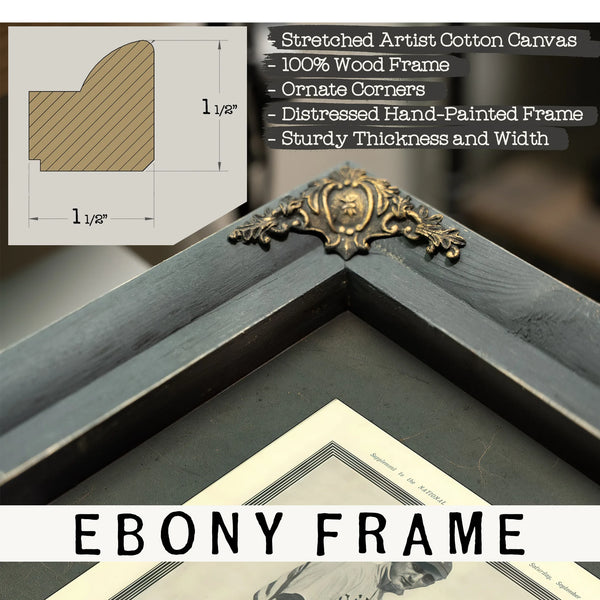 Joe Jackson Police Gazette — Framed Wall Art Room View | Bella Frye